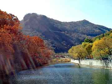 新澳天天开奖资料大全旅游团，孩子丢失